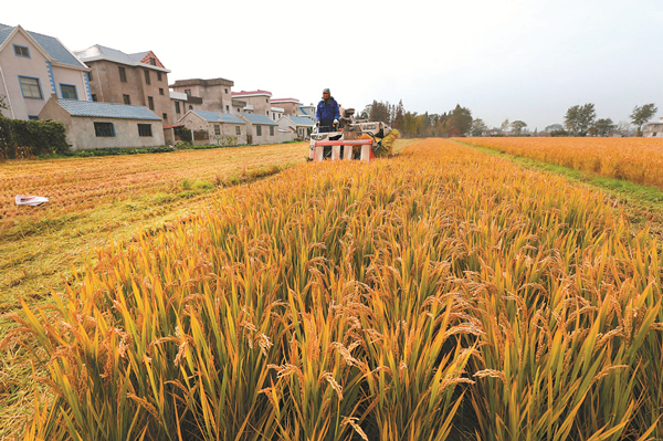 Nantong improves livelihoods through agricultural reform