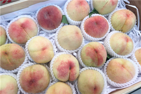 Yangshan honey peach: the real taste of summer