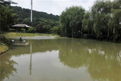 Relax your mind at Jiangyin's Chaoyang Flowers Valley