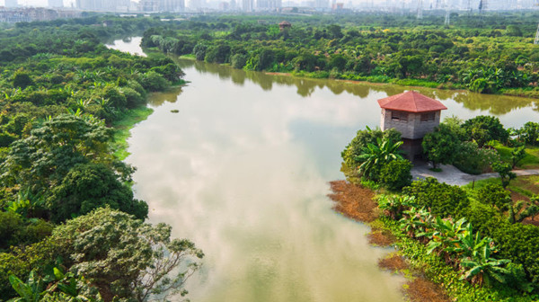 Guangzhou embraces a green future