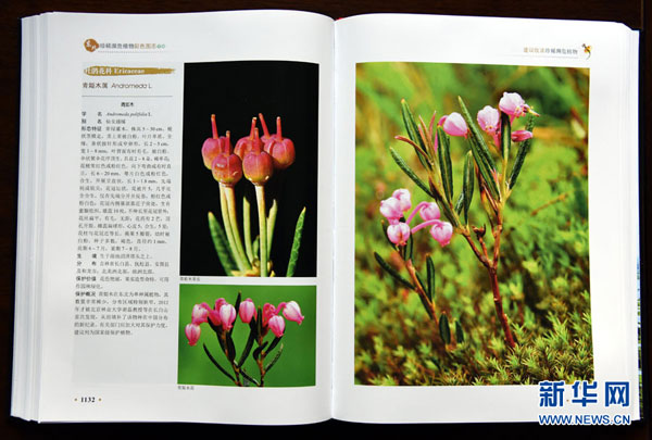 Rare plants documented in NE China