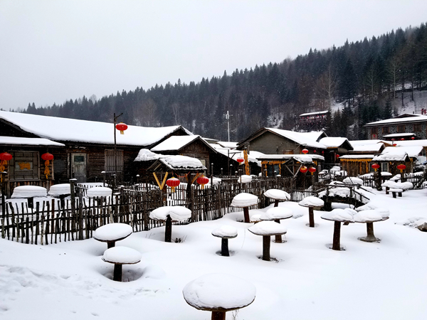 Snow turns Xuexiang village into winter wonderland