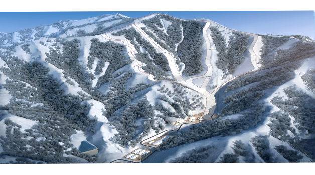 Para Alpine Skiing