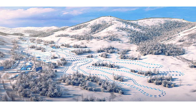 Para Cross-Country Skiing
