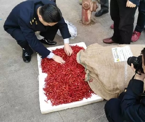 Chongqing tastes new chilies with 14-ton Indian import