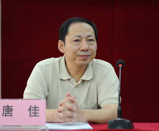 专访|学者书法家唐佳：不信东风唤不回（图）