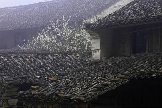 古村探幽（图）