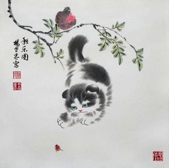 独爱杨家猫--杨世忠作品