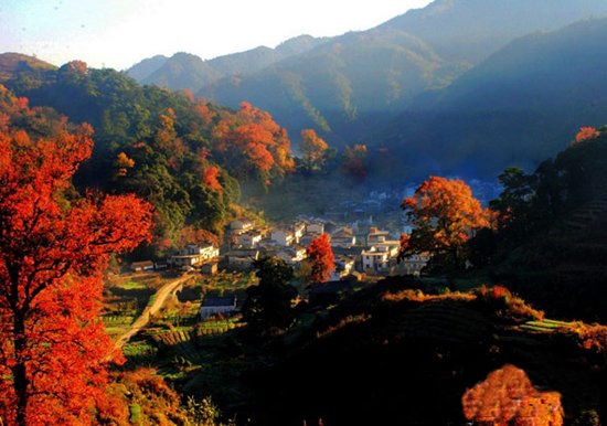 延 村（图）