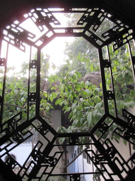 凝固的诗—苏州园林的花窗
