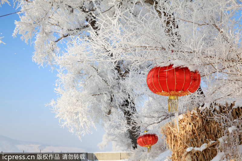 Scenery of rime in NE China