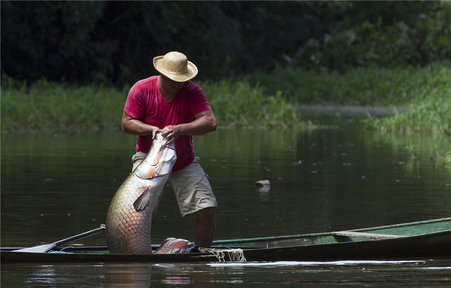 Fishing for living fossils