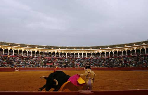 Matadors take challenge in Spain bullfight