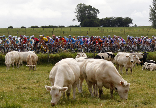 Chavanel wins Tour de France 2nd stage