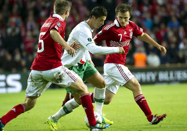 Denmark reach Euro 2012, Portugal in playoffs