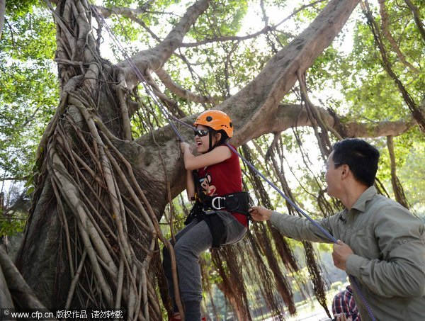 Tree climbing as PE fashion in campus