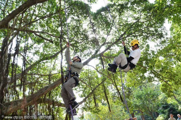 Tree climbing as PE fashion in campus[1]
