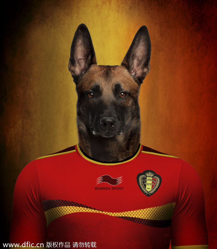 Dogs in national football team jerseys 5 Chinadaily .cn