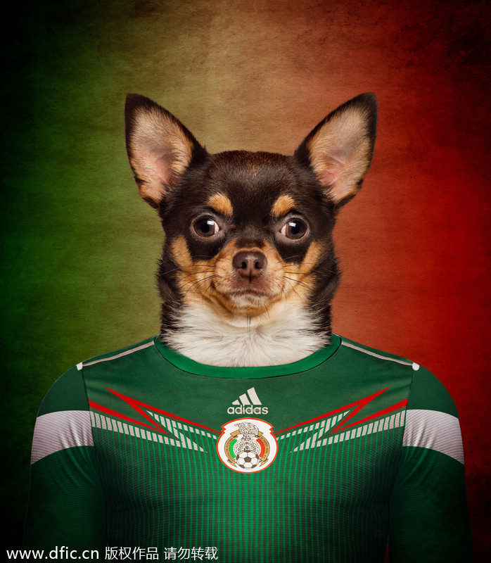 mexico soccer jersey for dogs