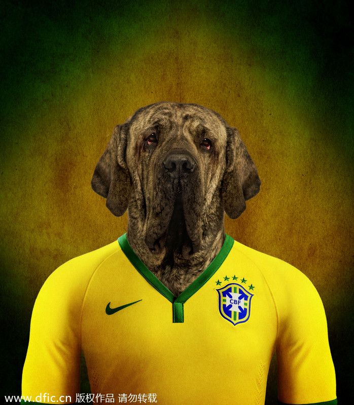 Dogs in national football team jerseys[1]