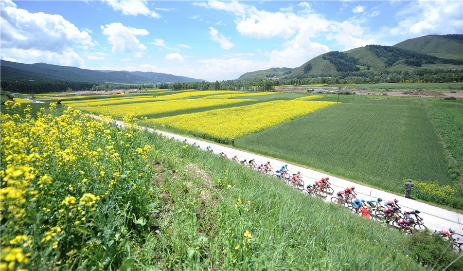 Tour of Qinghai Lake: Italian cyclist pedals to victory in stage 2