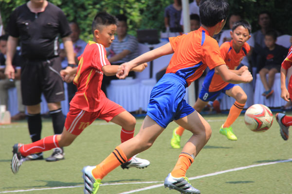 Evergrande to set up soccer training base in Shenzhen