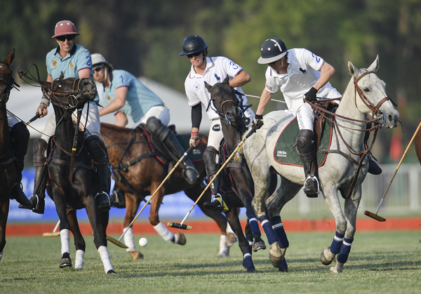 Polo tournament held to promote the sport and horse industry