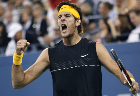 Federer stunned by del potro in US Open final