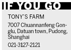 Sweet deal for strawberry pickers