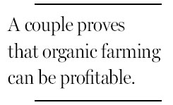 Rocky soil, yielding abundance