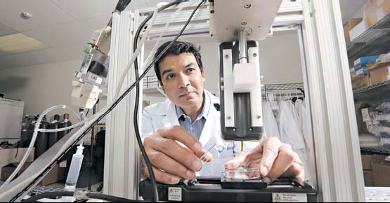 For cartilage, skin and other tissue, hit 'print'