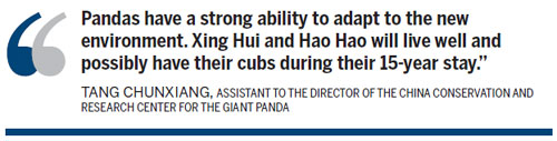 Panda pair heads to Belgium