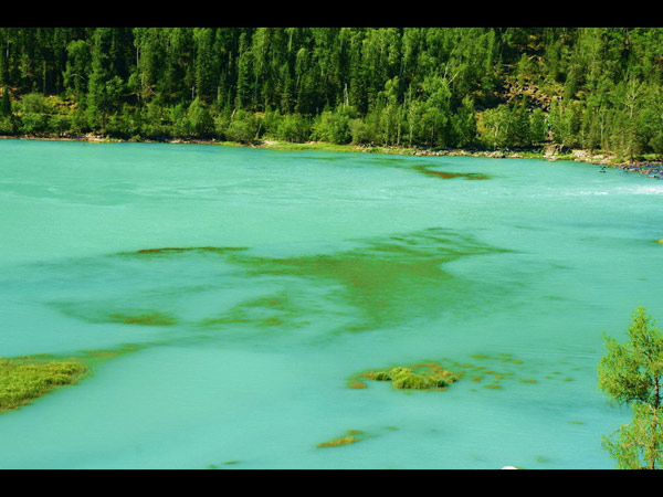 Ha'nasi nature reserve in Xinjiang