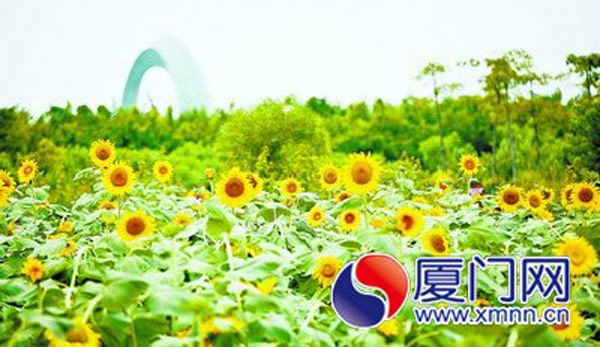 Flower show becomes magnet for Xiamen tourism