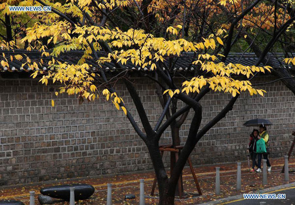 Autumn scenery in Seoul, S Korea