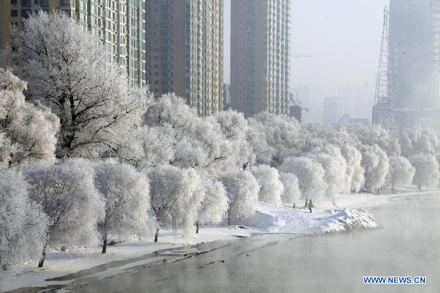 Scenery of rime in NE China's Jilin city