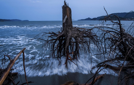 triptofairylandnamiisland