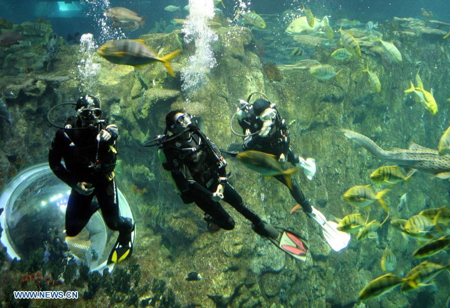 Visitors get into close touch with fish in HK Ocean Park