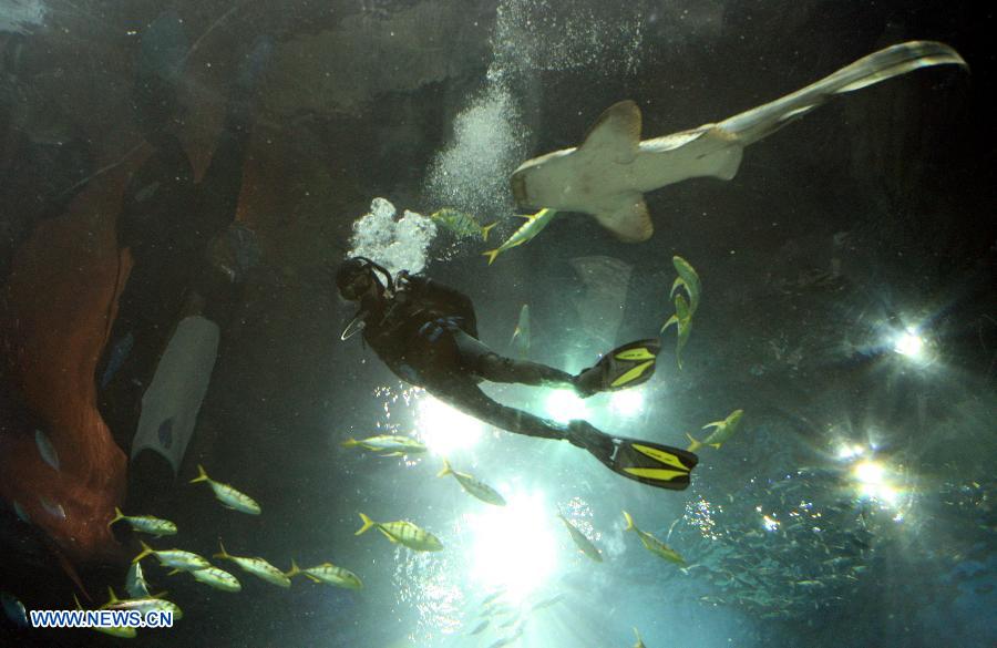 Visitors get into close touch with fish in HK Ocean Park