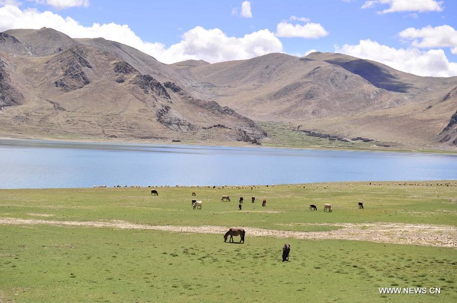 Yamzhog Yumco Lake in Tibet