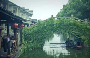 The bamboo sea in Chongqing