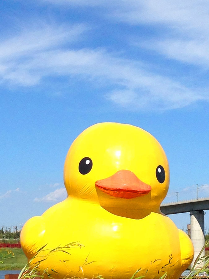 Floating Rubber Duck