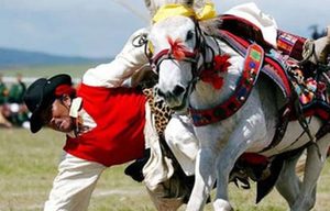 National Equestrian Competition kicks off