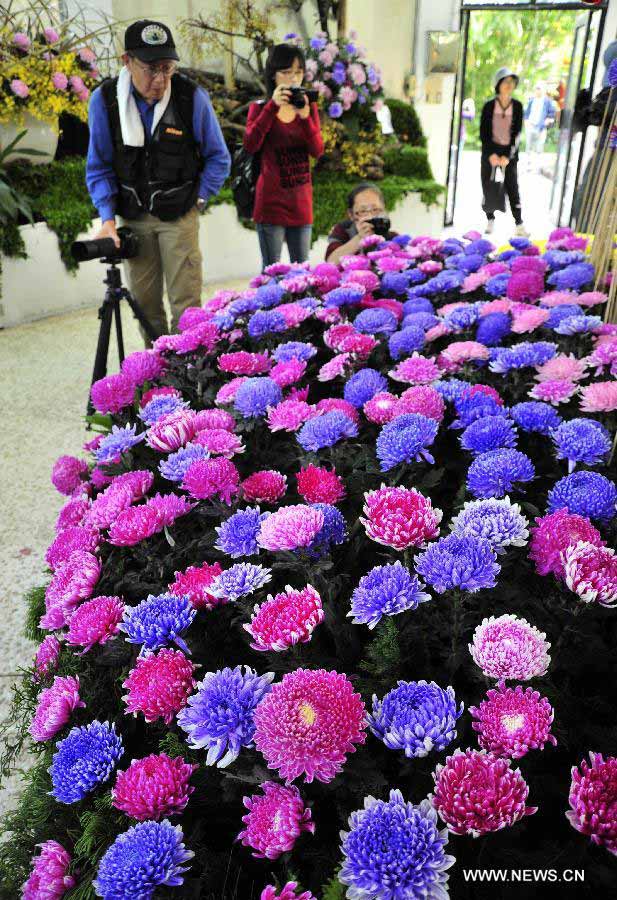 Chrysanthemum flower expo kicks off in Taipei