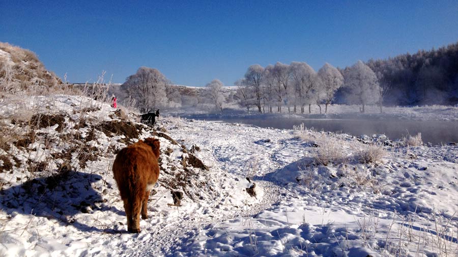 Arxan's 'ice-free' fairytale river