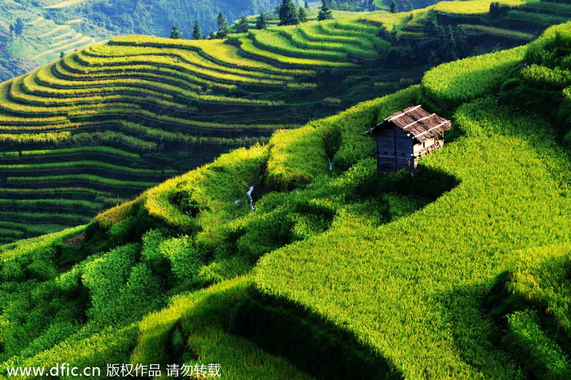 Top 10 most beautiful terraces in China