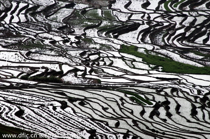 Top 10 most beautiful terraces in China