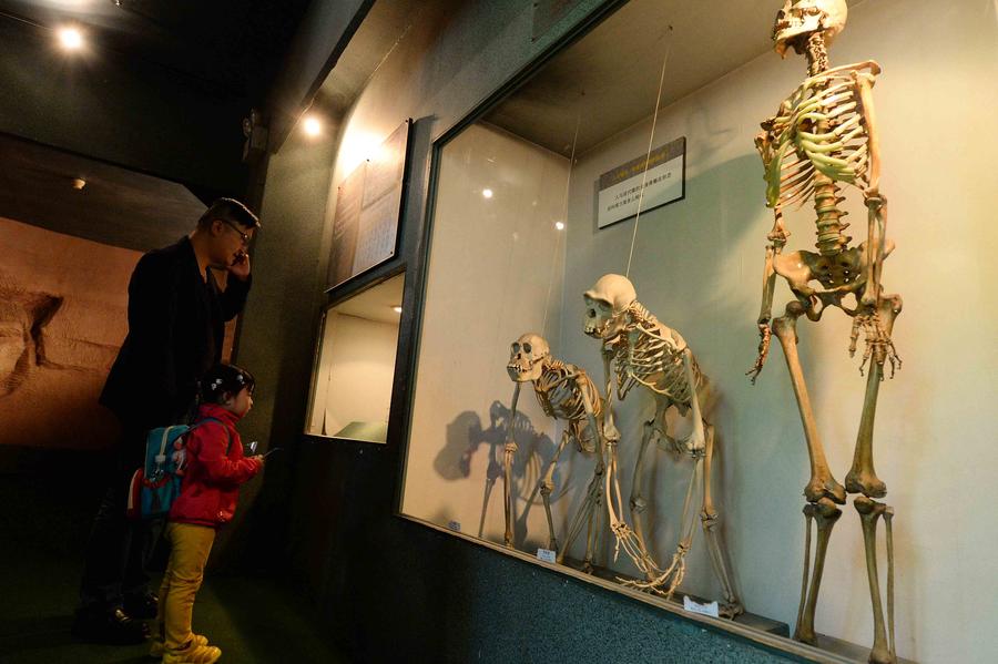 Shanghai locals bid farewell to childhood memories