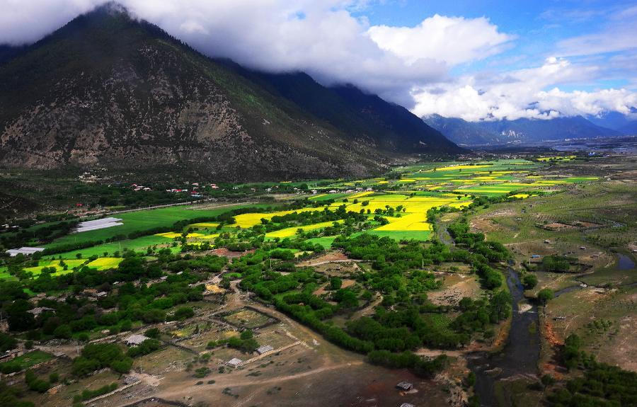 Scenery of Nyingchi prefecture in Tibet