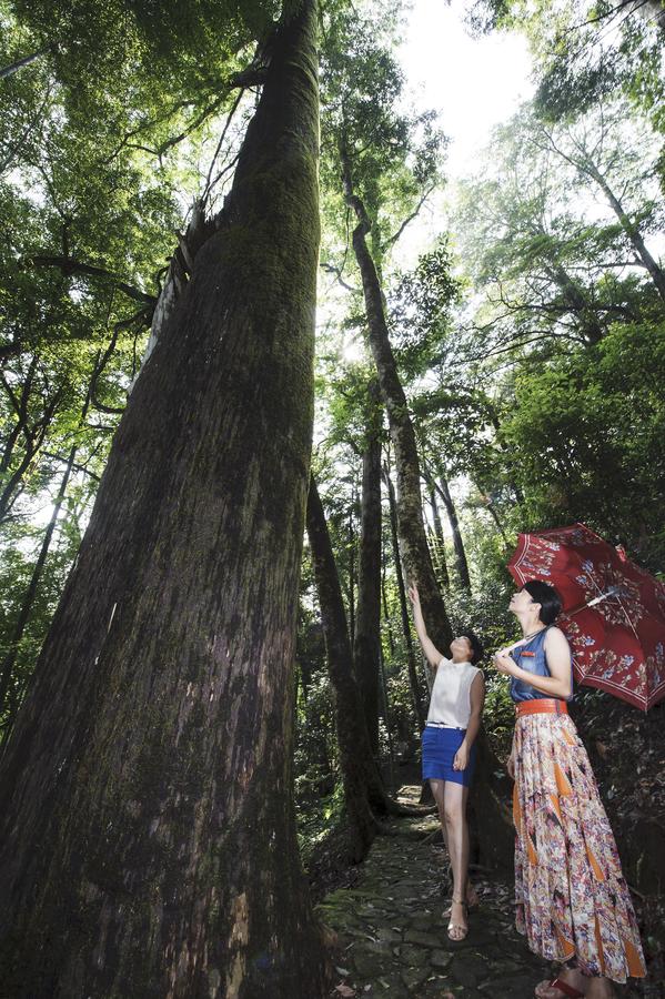 Meihua Mountain Nature Reserve in SE China